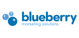Blueberry marketing solutions logo