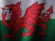 Welsh Flag Close Up
