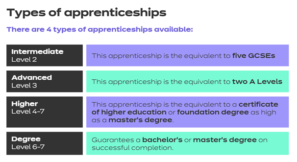 Grid explaining different type of apprenticeships